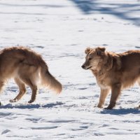 "...и не ходи за мной!" :: Владимир Безбородов