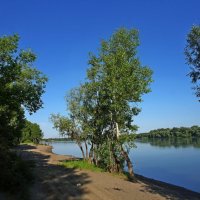 Начало реки Обь. :: Владимир Михайлович Дадочкин