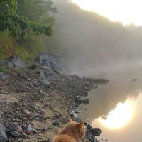 В ожидании улова. :: Олег Каплун