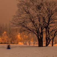 Предновогоднее настроение :: Александр Сендеров