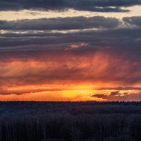 *** :: Владимир Безбородов