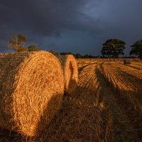 Сельская Ирландия :: Евгений Бутусов