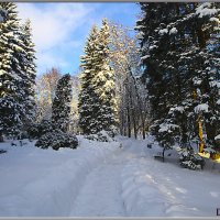 Мороз и солнце. :: Александр Дмитриев