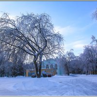 И был день и была зима. :: Александр Дмитриев