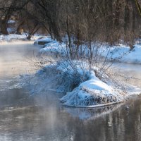 Озябла речка. :: Владимир Безбородов