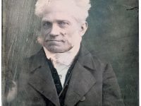 The World according to Arthur Schopenhauer