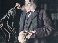 Ernst Haeckel and the Phyletic Museum