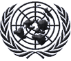 UN Logo