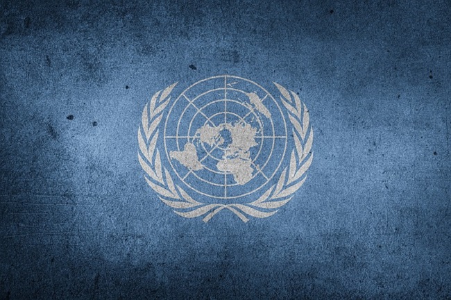 United Nations flag. Image by Chickenonline from Pixabay.