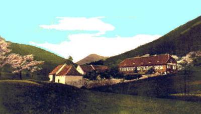 Buschmühle im Modenbachtal; kolorierte Ansichtskarte (1889)