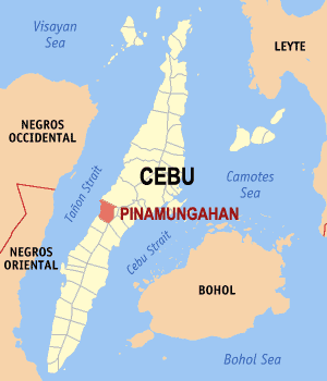 Bản đồ Cebu với vị trí của Pinamungajan