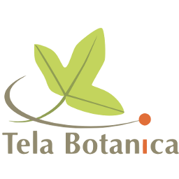 Tela Botanica