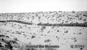 Febrer de 1917. Infanteria marxant per la carretera de xarxa de filferro a través del desert entre Bir el Mazar i Bardawil