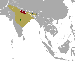 Phạm vi lịch sử (vàng); quần thể còn sót lại: duvaucelii (đỏ); branderi (xanh lá cây); ranjitsinhi (xanh da trời)