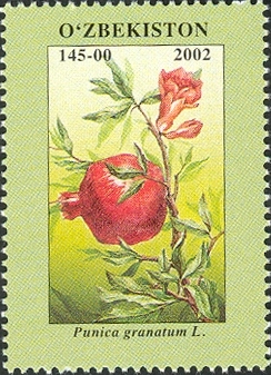 Файл:Stamps of Uzbekistan, 2002-07.jpg