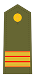 Divisa sargento