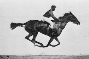 A different galloping horse, Annie G., animated in 2006, using plate 626 published in Muybridge's Animal Locomotion in 1887