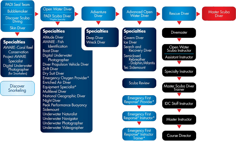 Diagrama cursos de buceo y submarinismo PADI