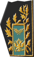 Ручная вышивка золотом на воротнике мундира (левая сторона, ранний вариант) Чрезвычайного и полномочного посла Российской Федерации