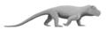 Anteosaurus (Dinocephalia)