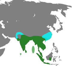 Mapa występowania