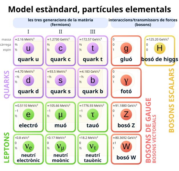 Classificació de les partícules elementals segons el model estàndard