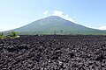 溶岩の上に点在するアカマツ（岩手県岩手山の焼走り熔岩流）