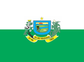 Bandeira de Ielmo Marinho