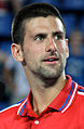 Novak Đoković 2022 tek erkekler şampiyonu ve Wimbledon'da 5. şampiyonluğu