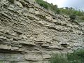 Sezione geologica di strati torbiditici. Flysh di Gorgoglione (Italia). Si tratta di lobi torbiditici (torbiditi distali) caratterizzati da morfologia tabulare, forte continuità laterale e spessore costante.