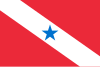 Flag of State of Pará