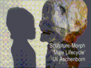 Cycle de la vie de l'homme, « morpho-sculpture », Uli Aschenborn, 2003.