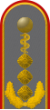 Dienstgradabzeichen eines Generaloberstabsarztes (Approbation für Humanmedizin) auf der Schulterklappe der Jacke des Dienstanzuges für Heeresuniformträger