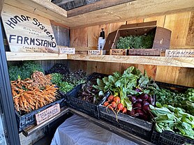 All wooden boxes stand with two-levels. They have wooden signs in cursive letters with details of what is being on display, with prices. The vegetables are a mixture of carrots, beets, cilantro, lettuce, and dill.