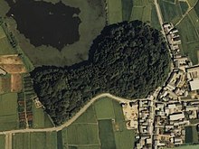 Photo of a keyhole-shaped bunch of trees measuring several tens of meters from the left-bottom corner to the right-top corner. A road curves around the right and bottom side of the mound. The roofs of more than 20 buildings are visible to the right of the picture.