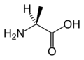 L-alanin (Ala / A)