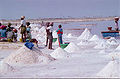 Плантация морской соли в Дакаре