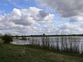 Nederrijn near Wageningen