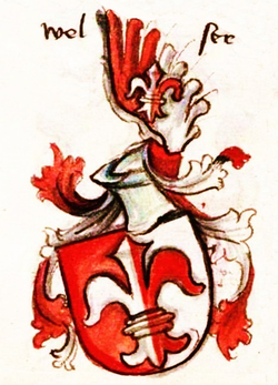 Rodový erb Welserů v Augsburské kronice (1457–1487)