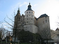 蒙贝利亚尔城堡（法语：Château de Montbéliard）