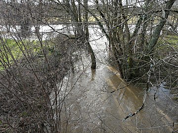 La confluence du Trincou (au premier plan) et de la Côle, en période de crues.