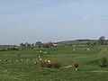 Panorama entre Sippenaeken et Gemmenich