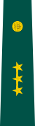 Insignia de Capitán del Ejército