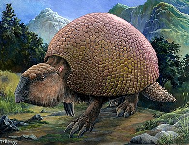 Glyptodon