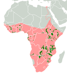 Bản đồ về chi Hà mã. Màu đỏ biểu thị những loài đã tuyệt chủng, màu xanh biểu thị những loài còn sống sót[2]