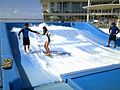 Surffaussimulaattori Oasis of the Seas -laivalla