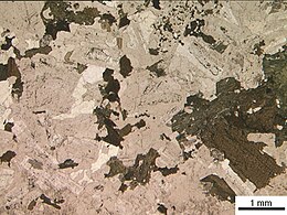 Sezione di granodiorite vista a un solo polarizzatore