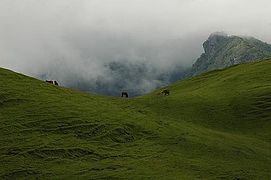 Mundo Perdido, Timor-Leste