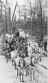 Image 48Logs being transported on a sleigh after being cut (from History of Wisconsin)