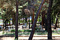 Мусульманское кладбище в посёлке Бельдиби, Турция